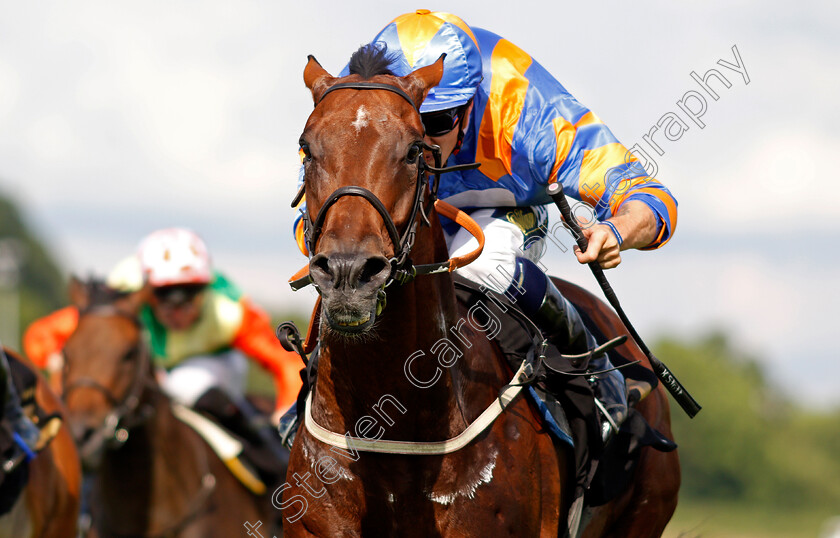 Latin-Five-0005 
 LATIN FIVE (Kevin Stott) wins The Moorgate Drink Drive RS Handicap
Nottingham 10 Aug 2021 - Pic Steven Cargill / Racingfotos.com