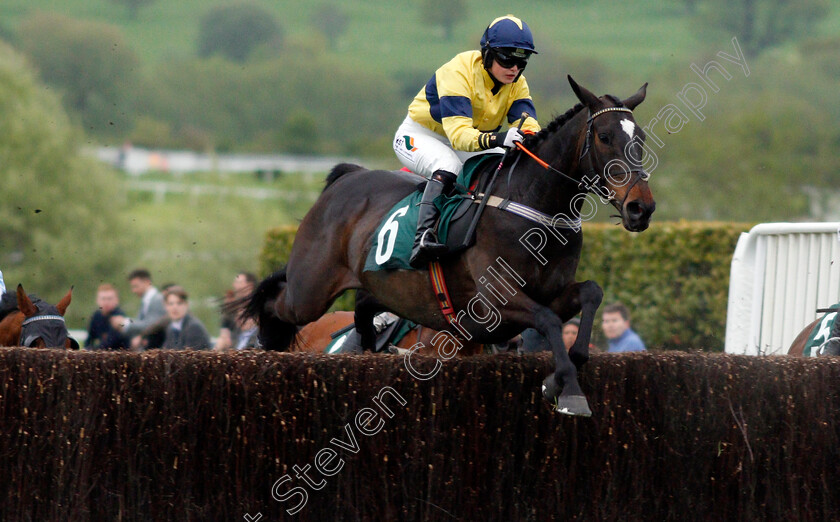 Excitable-Island-0001 
 EXCITABLE ISLAND (Gina Andrews) wins The Cheltenham Club Open Hunters Chase Cheltenham 4 May 2018 - Pic Steven Cargill / Racingfotos.com