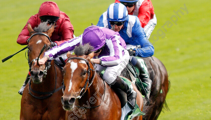 Japan-0008 
 JAPAN (Ryan Moore) wins The Juddmonte International Stakes
York 21 Aug 2019 - Pic Steven Cargill / Racingfotos.com