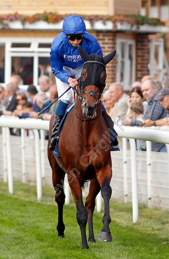 Noble-Truth-0001 
 NOBLE TRUTH (William Buick)
York 18 Aug 2021 - Pic Steven Cargill / Racingfotos.com