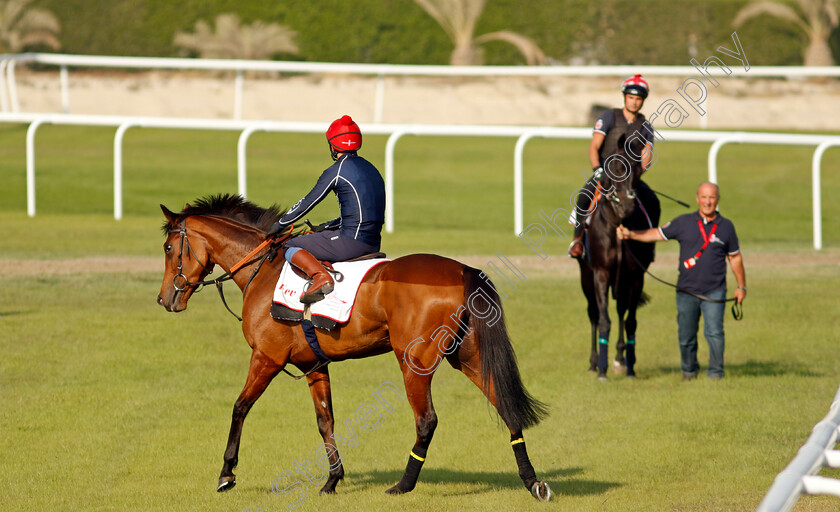 Fev-Rover-0004 
 FEV ROVER exercising in preparation for Friday's Bahrain International Trophy
Sakhir Racecourse, Bahrain 18 Nov 2021 - Pic Steven Cargill / Racingfotos.com