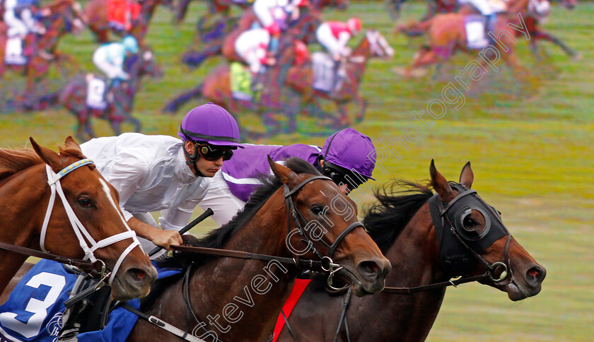 Mendelssohn-0013 
 MENDELSSOHN (right, Ryan Moore) on his way to winning The Breeders' Cup Juvenile Turf, Del Mar USA 3 Nov 2017 - Pic Steven Cargill / Racingfotos.com