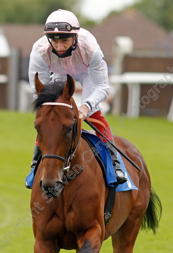 Diavolo-0002 
 DIAVOLO (David Egan)
Leicester 15 Jul 2021 - Pic Steven Cargill / Racingfotos.com