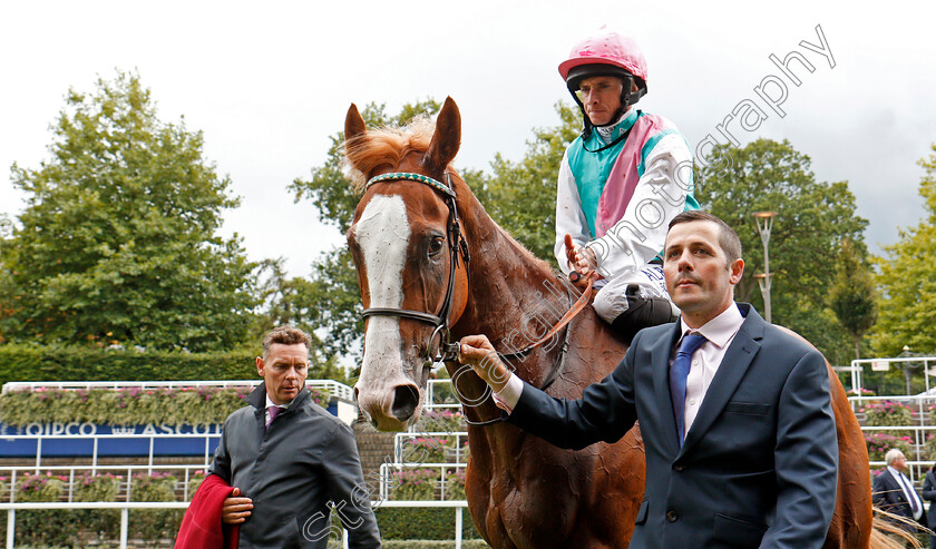 Herculean-0009 
 HERCULEAN (Ryan Moore) after The Charbonnel Et Walker British EBF Maiden Stakes Ascot 8 Sep 2017 - Pic Steven Cargill / Racingfotos.com