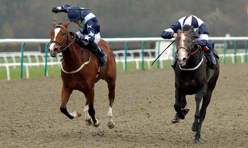 Reticent-Angel-0002 
 RETICENT ANGEL (right, Adam Kirby) beats SHINING (left) in The Ladbrokes Home Of The Odds Boost Nursery
Lingfield 20 Nov 2018 - Pic Steven Cargill / Racingfotos.com