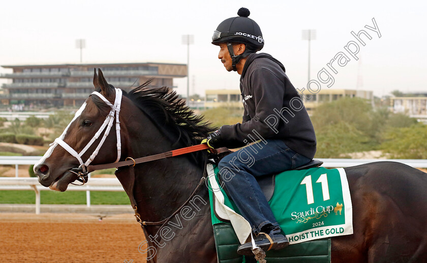 Hoist-The-Gold-0001 
 HOIST THE GOLD training for The Saudi Cup
King Abdulaziz Racetrack, Saudi Arabia 22 Feb 2024 - Pic Steven Cargill / Racingfotos.com