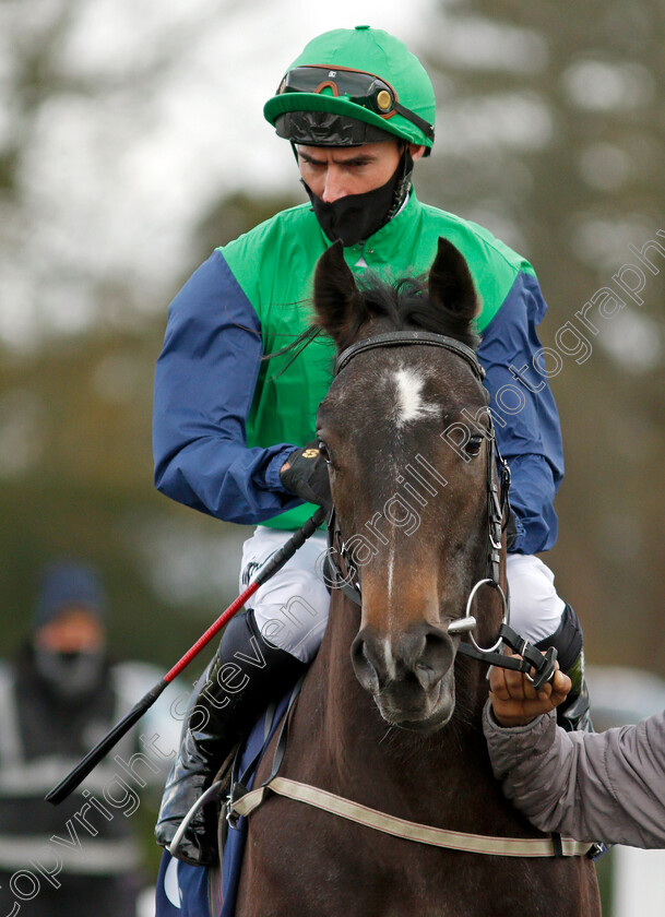 Ford-Madox-Brown-0003 
 FORD MADOX BROWN (Daniel Tudhope) before winning The Ladbrokes Novice Auction Stakes
Lingfield 19 Dec 2020 - Pic Steven Cargill / Racingfotos.com