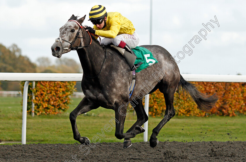 Perfect-Inch-0004 
 PERFECT INCH (Oisin Murphy) wins The Unibet Breeders Backing Racing EBF Fillies Novice Stakes
Kempton 2 Nov 2020 - Pic Steven Cargill / Racingfotos.com