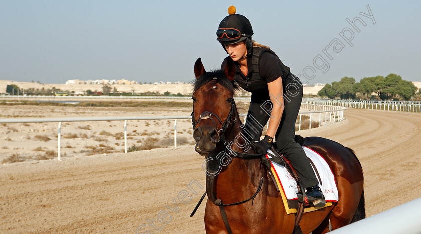 Bangkok-0001 
 BANGKOK training for the Bahrain International Trophy
Rashid Equestrian & Horseracing Club, Bahrain, 19 Nov 2020 - Pic Steven Cargill / Racingfotos.com