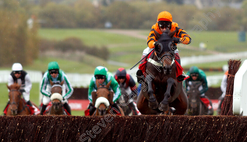 West-Approach-0001 
 WEST APPROACH (Richard Johnson)
Cheltenham 27 Oct 2018 - Pic Steven Cargill / Racingfotos.com