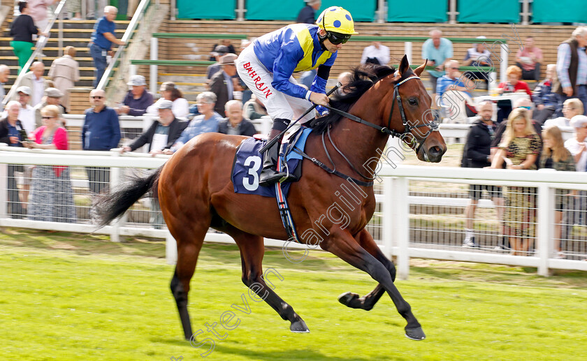 Dark-Kestrel-0001 
 DARK KESTREL (Robert Havlin)
Yarmouth 13 Sep 2022 - Pic Steven Cargill / Racingfotos.com