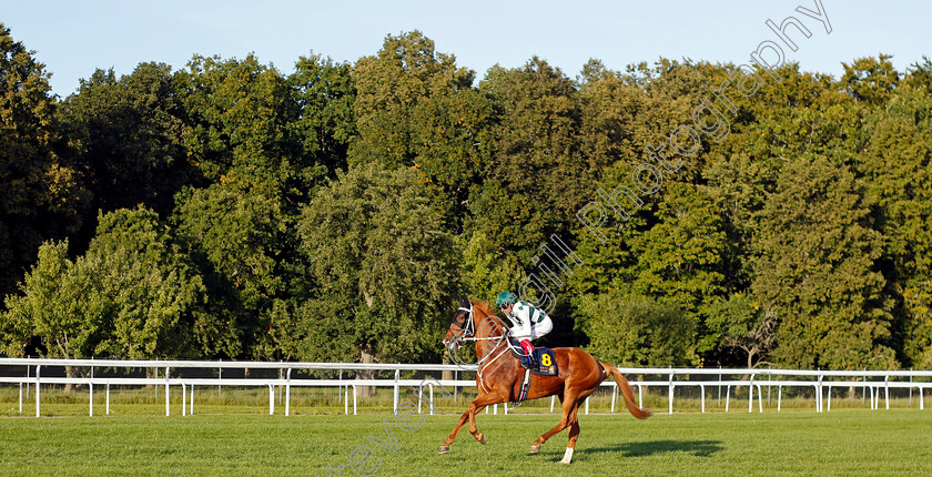 Hard-One-To-Please-0001 
 HARD ONE TO PLEASE (Frankie Dettori)
Bro Park 17 Sep 2023 - Pic Steven Cargill / Racingfotos.com