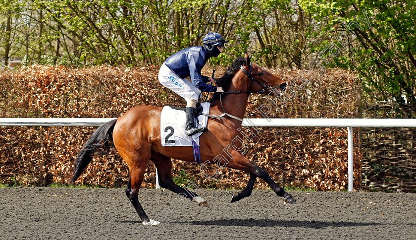 Graftonat-0001 
 GRAFTONAT (Richard Kingscote)
Kempton 5 Apr 2021 - Pic Steven Cargill / Racingfotos.com