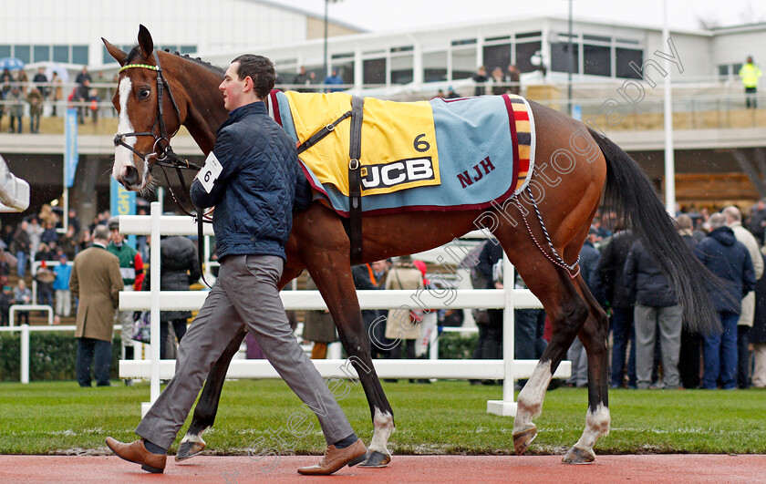 Apple s-Shakira-0002 
 APPLE'S SHAKIRA before winning The JCB Triumph Trial Juvenile Hurdle Cheltenham 27 Jan 2018 - Pic Steven Cargill / Racingfotos.com