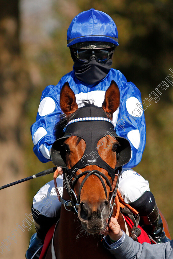 Mighty-Gurkha-0003 
 MIGHTY GURKHA (Hollie Doyle)
Lingfield 2 Apr 2021 - Pic Steven Cargill / Racingfotos.com