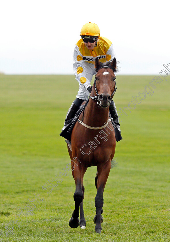 Inver-Park 
 INVER PARK (Pat Cosgrave)
Newmarket 29 Oct 2021 - Pic Steven Cargill / Racingfotos.com