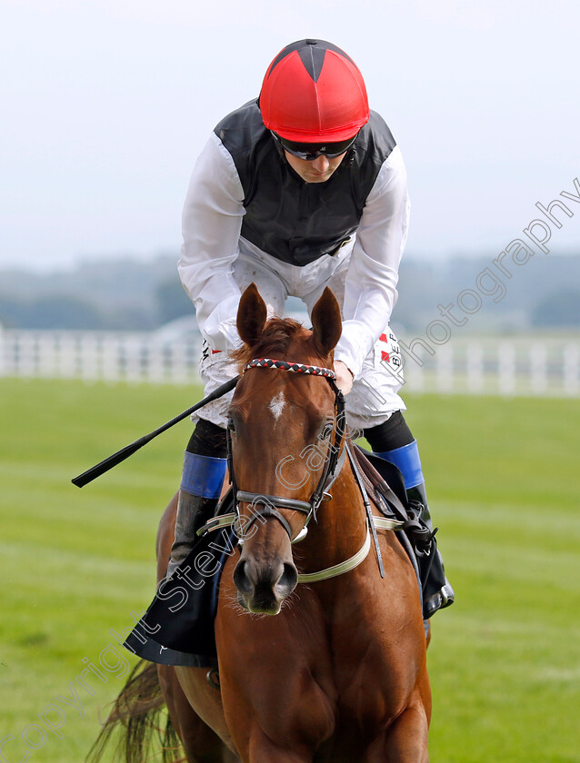 Red-Viburnum-0002 
 RED VIBURNUM (Chris Hayes)
The Curragh 10 Sep 2023 - Pic Steven Cargill / Racingfotos.com