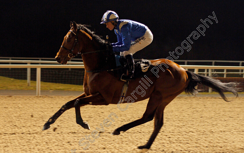 Samharry-0001 
 SAMHARRY (Jim Crowley) Chelmsford 1 Dec 2017 - Pic Steven Cargill / Racingfotos.com