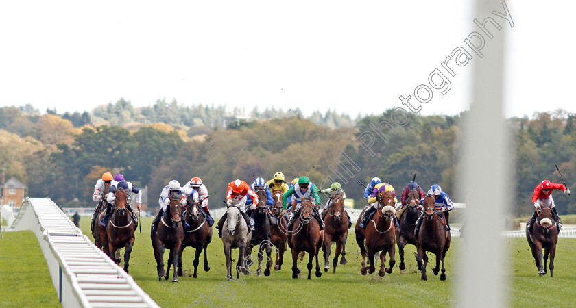 Donjuan-Triumphant-0001 
 DONJUAN TRIUMPHANT (2nd right, Silvestre De Sousa) wins The Qipco British Champions Sprint Stakes
Ascot 19 Oct 2019 - Pic Steven Cargill / Racingfotos.com