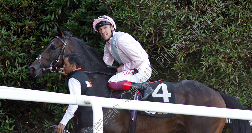 Too-Darn-Hot-0012 
 TOO DARN HOT (Frankie Dettori) after The 188bet Solario Stakes
Sandown 1 Sep 2018 - Pic Steven Cargill / Racingfotos.com