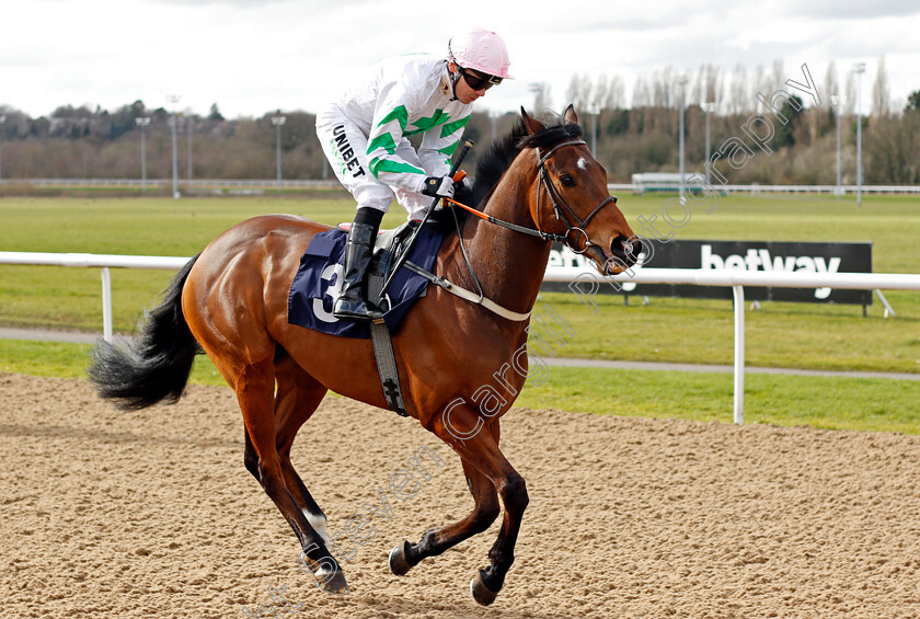 Zarzyni 
 ZARZYNI (Jamie Spencer)
Wolverhampton 12 Mar 2022 - Pic Steven Cargill / Racingfotos.com