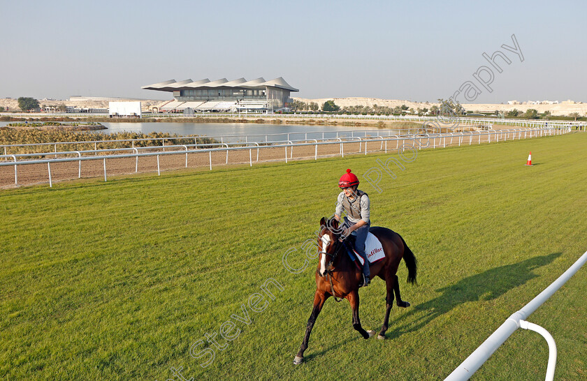 Cadillac-0002 
 CADILLAC (Shane Foley) exercising in preparation for Friday's Bahrain International Trophy
Sakhir Racecourse, Bahrain 18 Nov 2021 - Pic Steven Cargill / Racingfotos.com