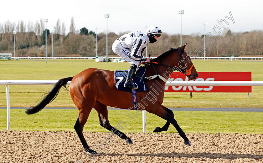 Always-Dreaming-0001 
 ALWAYS DREAMING (Luke Morris)
Wolverhampton 13 Mar 2021 - Pic Steven Cargill / Racingfotos.com