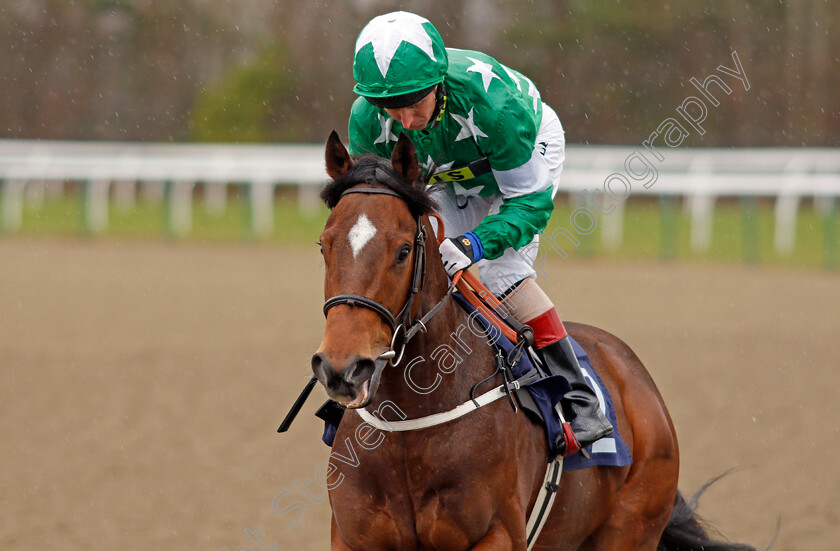 Greeneyedafghan-0002 
 GREENEYEDAFGHAN (Martin Dwyer) Lingfield 3 Feb 2018 - Pic Steven Cargill / Racingfotos.com