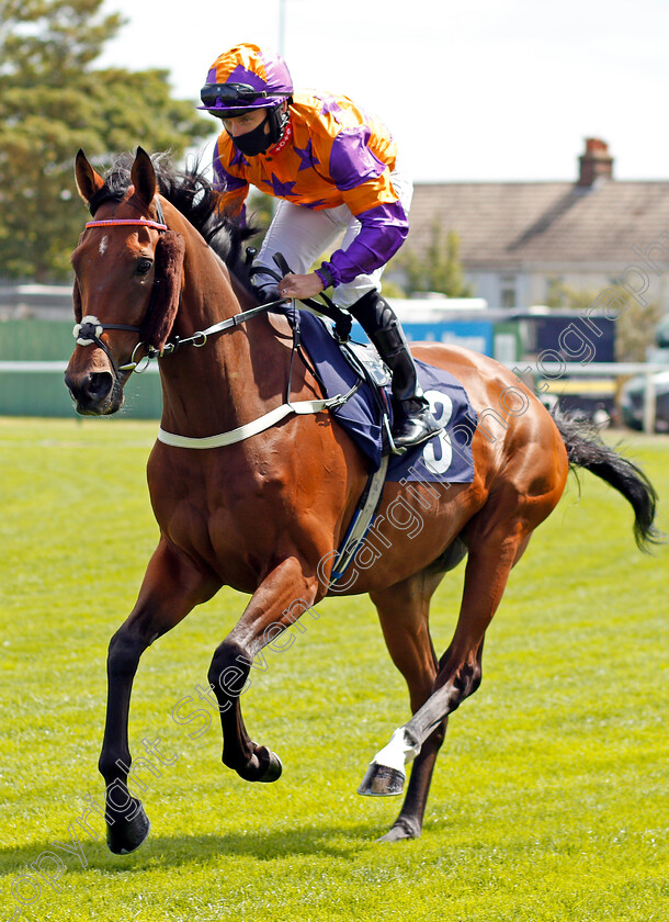 War-Brigade-0001 
 WAR BRIGADE (P J McDonald)
Yarmouth 3 Aug 2020 - Pic Steven Cargill / Racingfotos.com