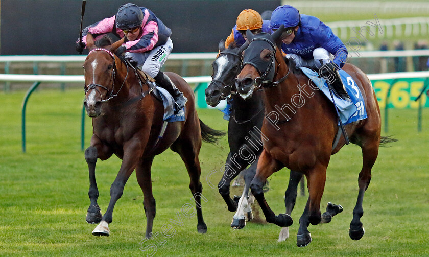 Creative-Flair-0001 
 CREATIVE FLAIR (right, William Buick) beats VIA SISTINA (left) in The Newmarket Pony Academy Pride Stakes
Newmarket 7 Oct 2022 - Pic Steven Cargill / Racingfotos.com