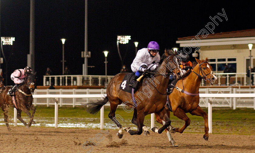 Show-Me-A-Sunset-0002 
 SHOW ME A SUNSET (centre, Benoit de la Sayette) beats RAASEL (right) in The CCR Novice Stakes
Chelmsford 22 Jan 2021 - Pic Steven Cargill / Racingfotos.com