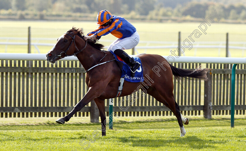 Just-Wonderful-0005 
 JUST WONDERFUL (Ryan Moore) wins The Shadwell Rockfel Stakes
Newmarket 28 Sep 2018 - Pic Steven Cargill / Racingfotos.com