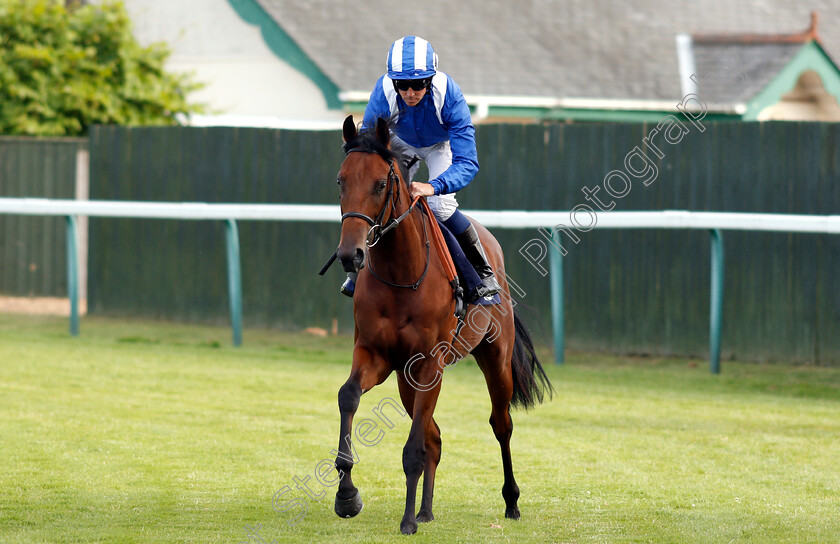 Motalaqqy-0001 
 MOTALAQQY (Jim Crowley)
Yarmouth 18 Jul 2018 - Pic Steven Cargill / Racingfotos.com