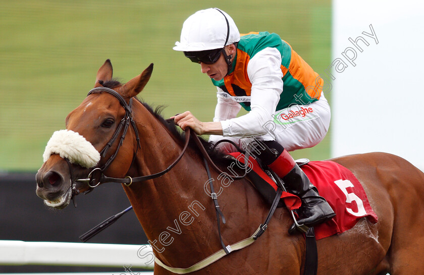 Vis-A-Vis-0002 
 VIS A VIS (Shane Kelly) wins The Randox Food Handicap
Sandown 16 Jun 2018 - Pic Steven Cargill / Racingfotos.com