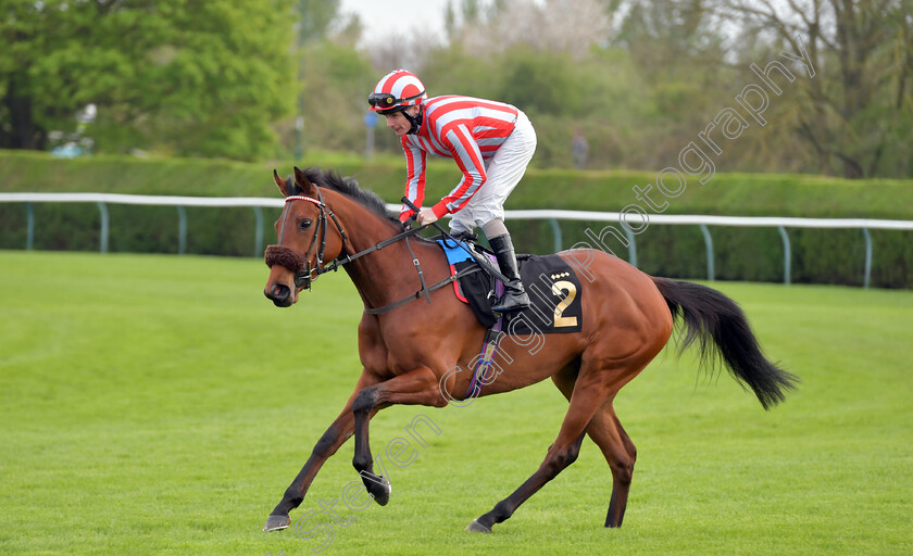 Gemini-Star-0002 
 GEMINI STAR (Kieran O'Neill)
Nottingham 22 Apr 2023 - pic Steven Cargill / Becky Bailey / Racingfotos.com