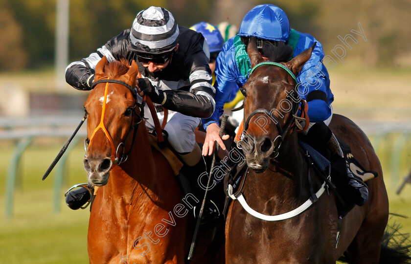 Kalma-0006 
 KALMA (right, Tom Queally) beats CORBULO (left) in The Follow @racingtv On Twitter Handicap
Nottingham 17 Apr 2021 - Pic Steven Cargill / Racingfotos.com