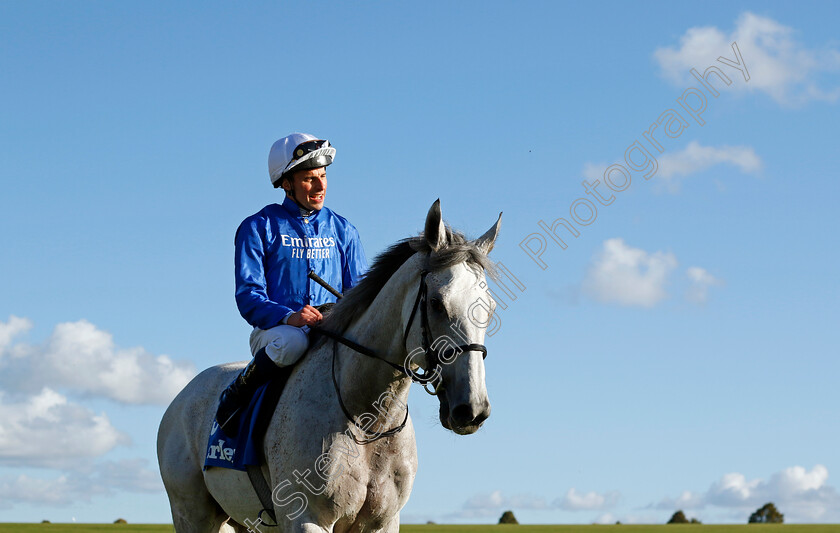 Highland-Avenue-0007 
 HIGHLAND AVENUE (William Buick) winner of The Darley Stakes
Newmarket 14 Oct 2023 - Pic Steven Cargill / Racingfotos.com