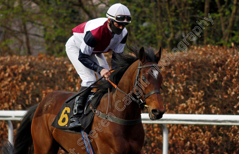 Rocky-Sea-0001 
 ROCKY SEA (Eoin Walsh)
Kempton 31 Mar 2021 - Pic Steven Cargill / Racingfotos.com