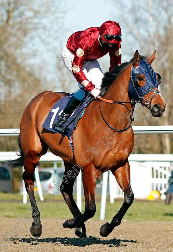 French-Minstrel-0002 
 FRENCH MINSTREL (Callum Shepherd) winner of The Betway Casino Handicap
Lingfield 26 Feb 2021 - Pic Steven Cargill / Racingfotos.com