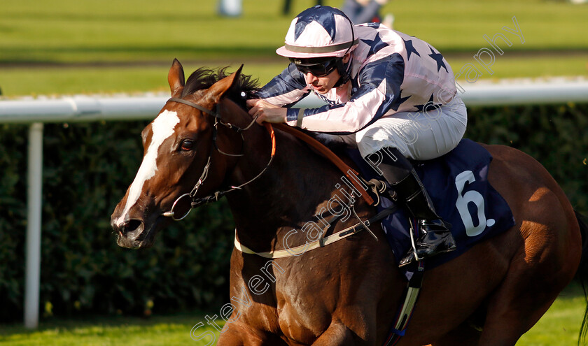 Harmonia-0002 
 HARMONIA (Richard Kingscote) wins The Christmas Live @themovies At Doncaster Racecourse Nursery
Doncaster 12 Sep 2024 - Pic Steven Cargill / Racingfotos.com