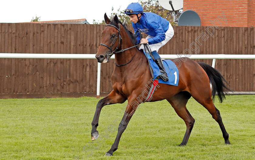 Amber-Island-0001 
 AMBER ISLAND (William Buick) before The Dale Hall & Hickman Associates EBF Fillies Novice Stakes
Leicester 10 Sep 2019 - Pic Steven Cargill / Racingfotos.com