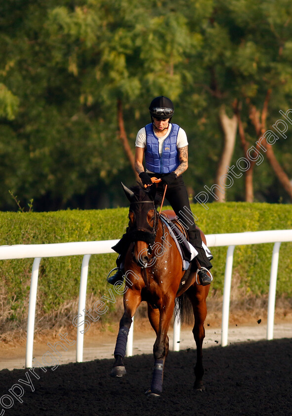 Hala-Abrar-0001 
 HALA ABRAR training at the Dubai Racing Carnival
Meydan 1 Feb 2024 - Pic Steven Cargill / Racingfotos.com