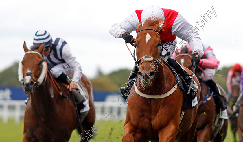 Just-Glamorous-0003 
 JUST GLAMOROUS (Oisin Murphy) wins The Hope And Homes For Children Rous Stakes Ascot 7 Oct 2017 - Pic Steven Cargill / Racingfotos.com