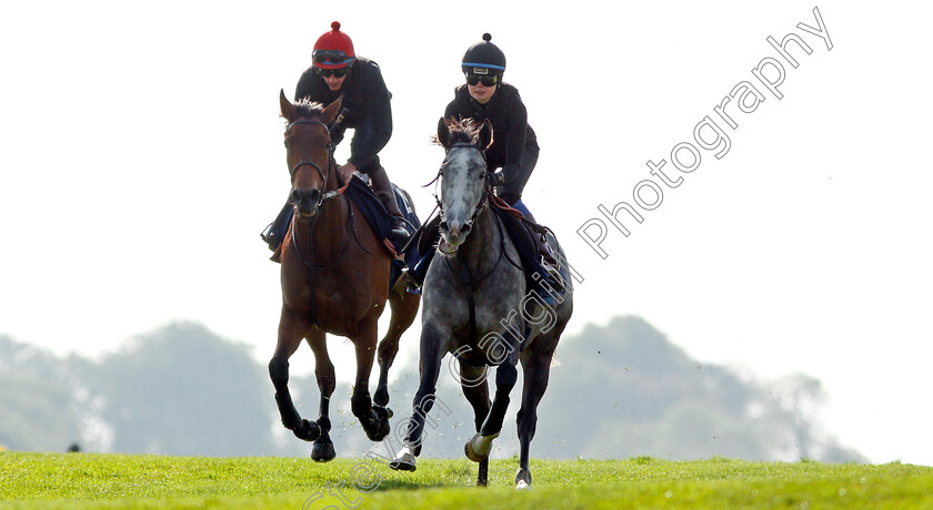 Perfect-Clarity-0010 
 PERFECT CLARITY (left, Adam, Kirby) exercising with LUIRA (right) at Epsom Racecourse in preparation for The Investec Oaks, 22 May 2018 - Pic Steven Cargill / Racingfotos.com