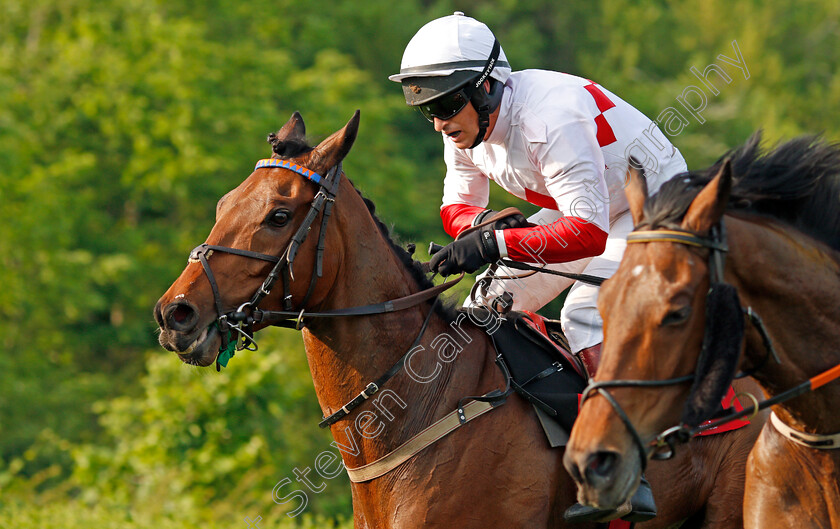 Zanjabeel-0010 
 ZANJABEEL (left, Ross Geraghty) beats MODEM (right) in The Calvin Houghland Iroquois Hurdle Grade 1, Percy Warner Park, Nashville 12 May 2018 - Pic Steven Cargill / Racingfotos.com