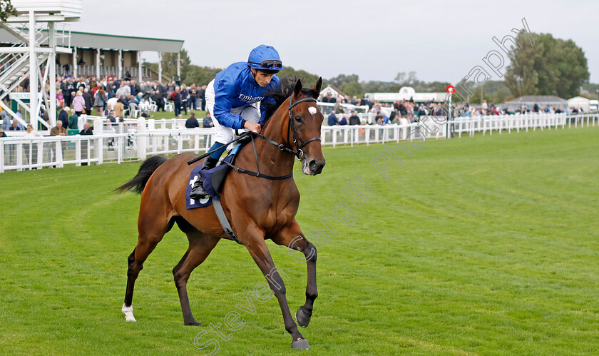 Sapphire-Seas-0007 
 SAPPHIRE SEAS (William Buick) winner of The EBF Stallions John Musker Fillies Stakes
Yarmouth 19 Sep 2023 - Pic Steven Cargill / Racingfotos.com