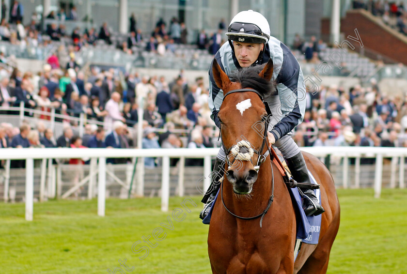 Passenger-0004 
 PASSENGER (Richard Kingscote)
York 18 May 2023 - Pic Steven Cargill / Racingfotos.com