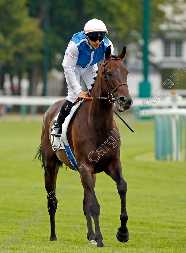 Sacred-Spirit-0003 
 SACRED SPIRIT (Maxime Guyon)
Deauville 3 Aug 2024 - Pic Steven Cargill / Racingfotos.com