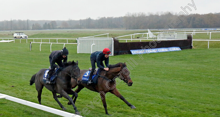 Giantsgrave-and-Only-Way-Is-Up-0002 
 GIANTSGRAVE (right) and ONLY WAY IS UP (left)
Coral Gold Cup gallops morning Newbury 19 Nov 20234 - Pic Steven Cargill / Racingfotos.com