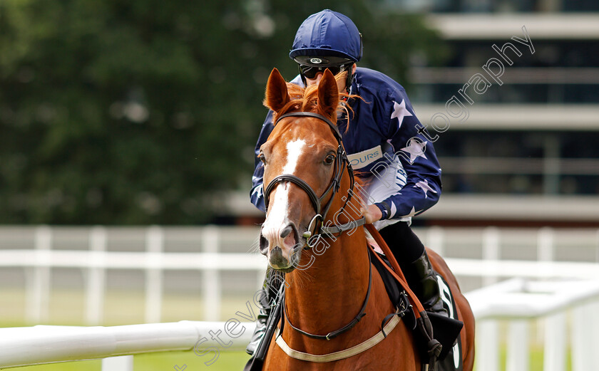 Island-Bandit-0001 
 ISLAND BANDIT (Jack Mitchell) winner of The BetVictor EBF Maiden Stakes Div1
Newbury 13 Aug 2021 - Pic Steven Cargill / Racingfotos.com